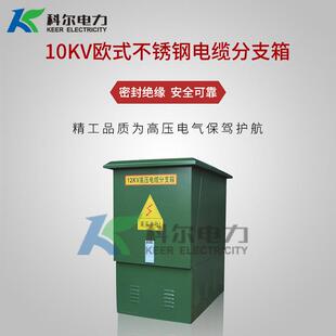 电缆分支箱 不锈钢材质 欧式 10KV高压电缆分支箱630A