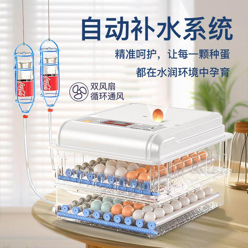 孵蛋器水床孵化器小型家用孵化机智能全自动小鸡孵化箱鹦鹉芦丁鸡
