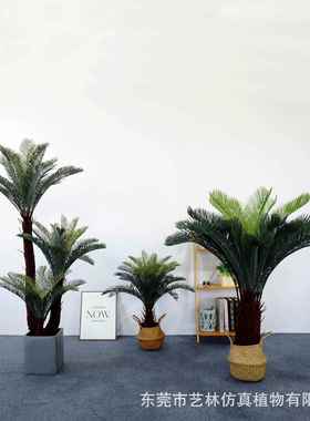 仿大型苏铁植物盆室内客栽地厅装饰绿真植摆件造20230725景落人造