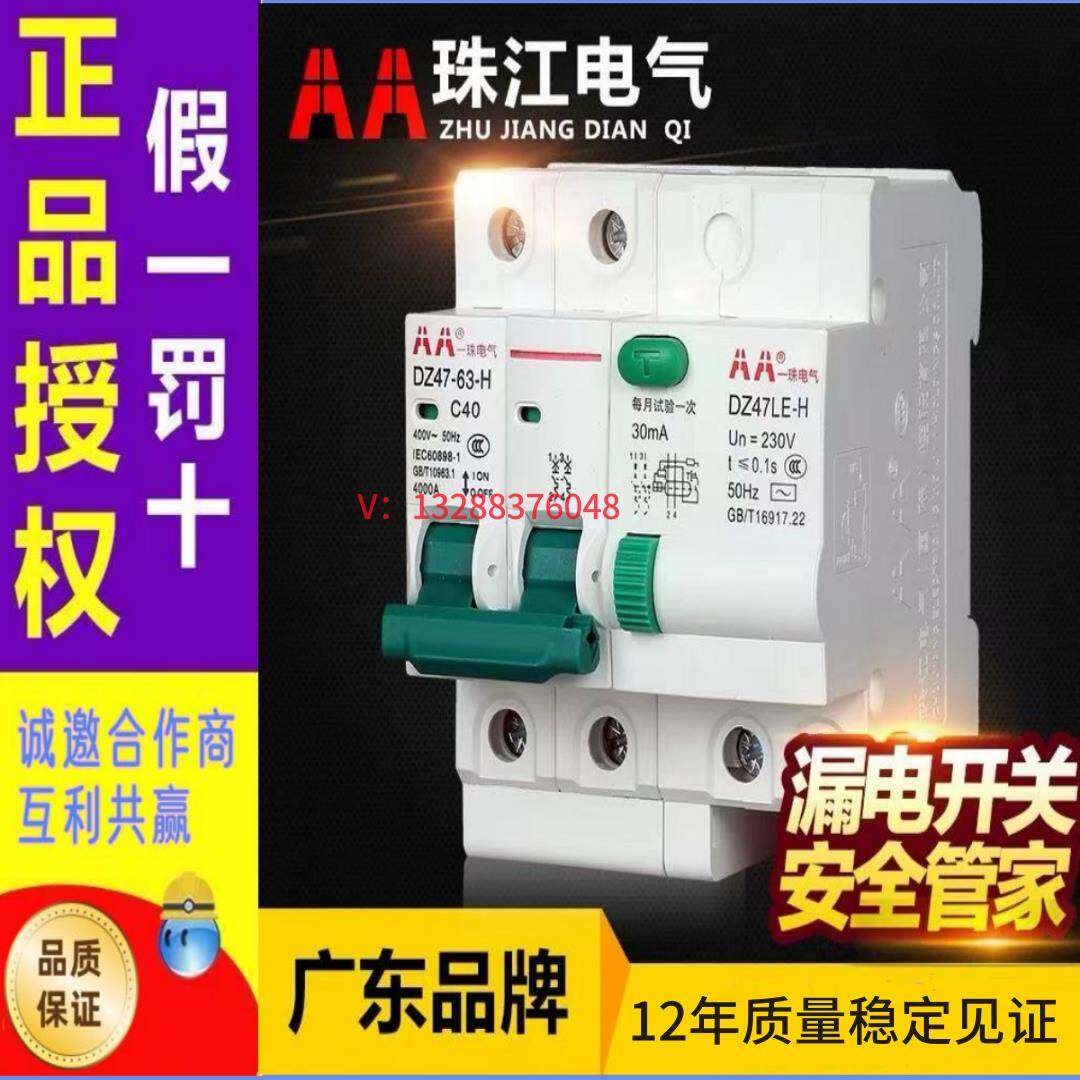 珠江防雷断路器抗电涌保护器2P漏电保护器家用总闸开关断路保护器