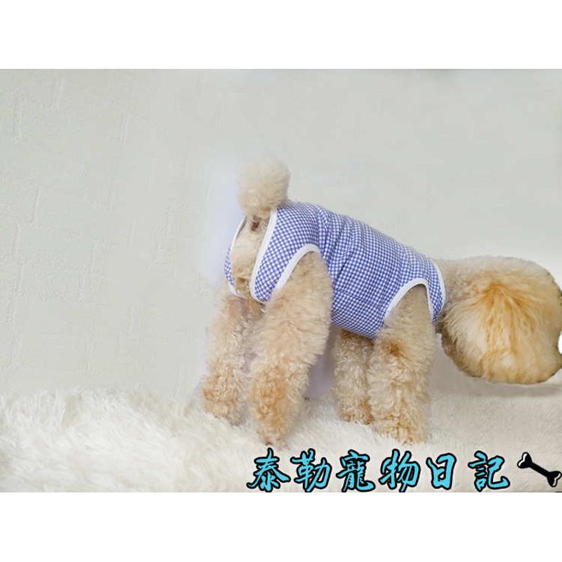 全断奶包防舔公狗护服尿母狗服肚子防狗狗衣服猫蓝格子母绝育手术