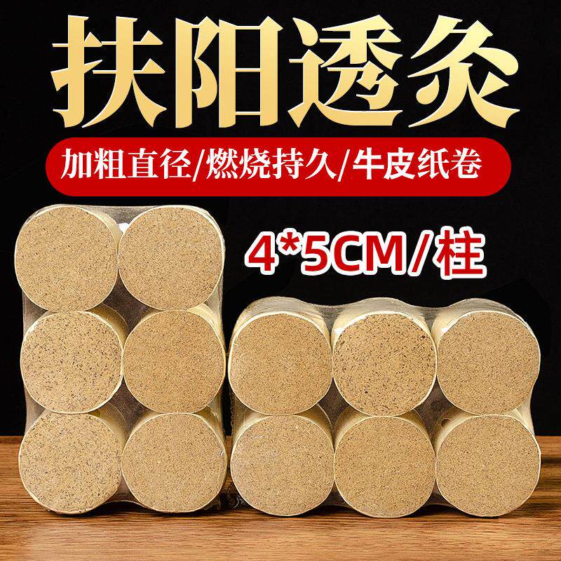 扶阳重灸透灸仪透骨灸艾灸柱6只装10：1艾条艾灸4cm艾柱艾段