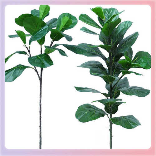 植物绿植盆景家居室内花园绿化橱窗装饰人造树叶 琴叶榕