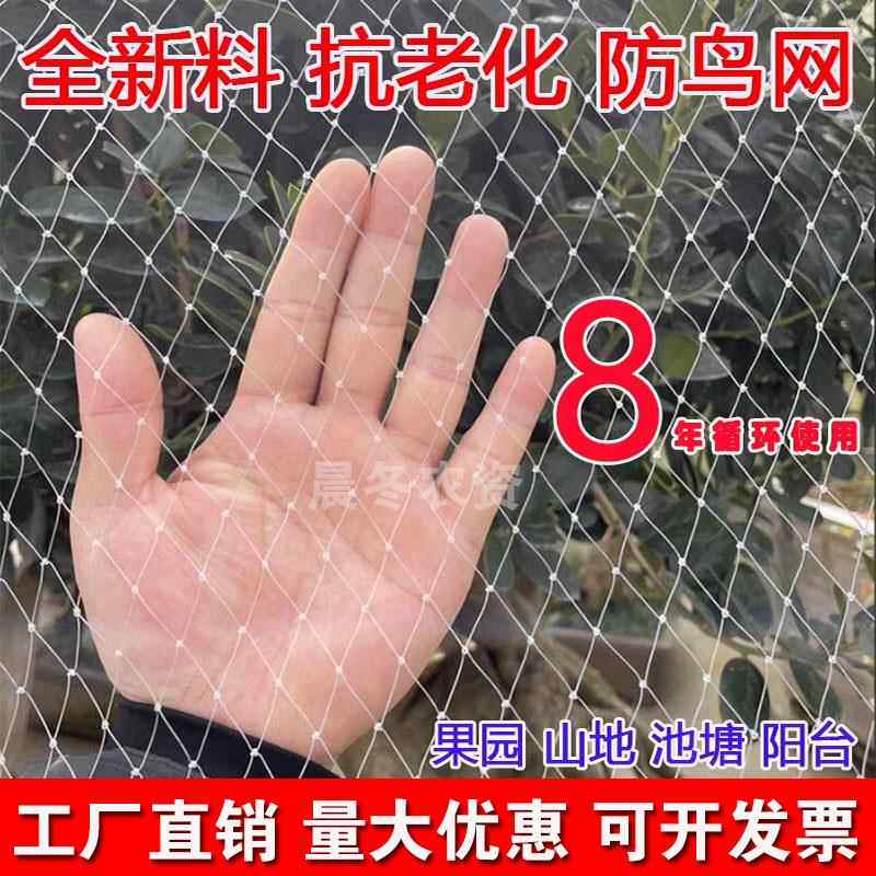 尼龙防鸟网大棚果树樱桃葡萄 梨树稻谷果园阳台防鸟用网养殖天网