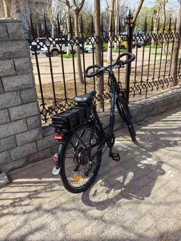 Электровелосипед Raleigh L9 26 дюймов: 27 скоростей Shimano, гидравлические тормоза, большой запас хода photo review