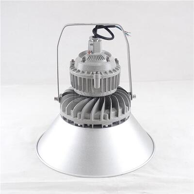 广照型带灯罩隔爆灯50W60W80W100W120W150W200W支架吸顶式吊杆式