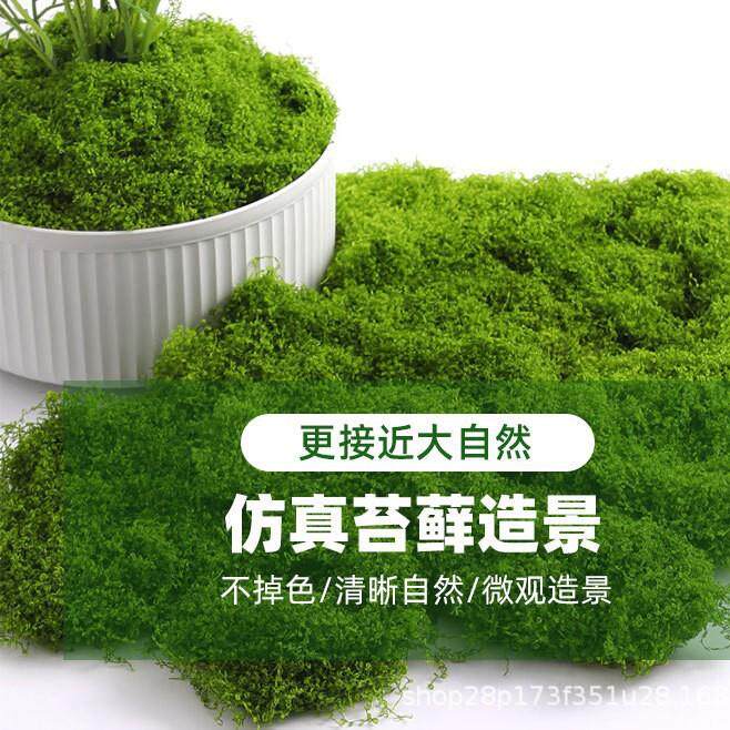 厂家仿真苔藓碎青苔绿植微景观假山草坪盆栽盆景铺面装饰diy摆件