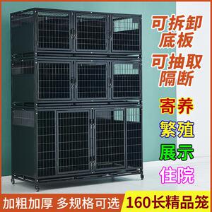 多功能宠物寄养笼 狗笼子住院柜 猫狗隔离笼 宠物店专用狗笼 室内