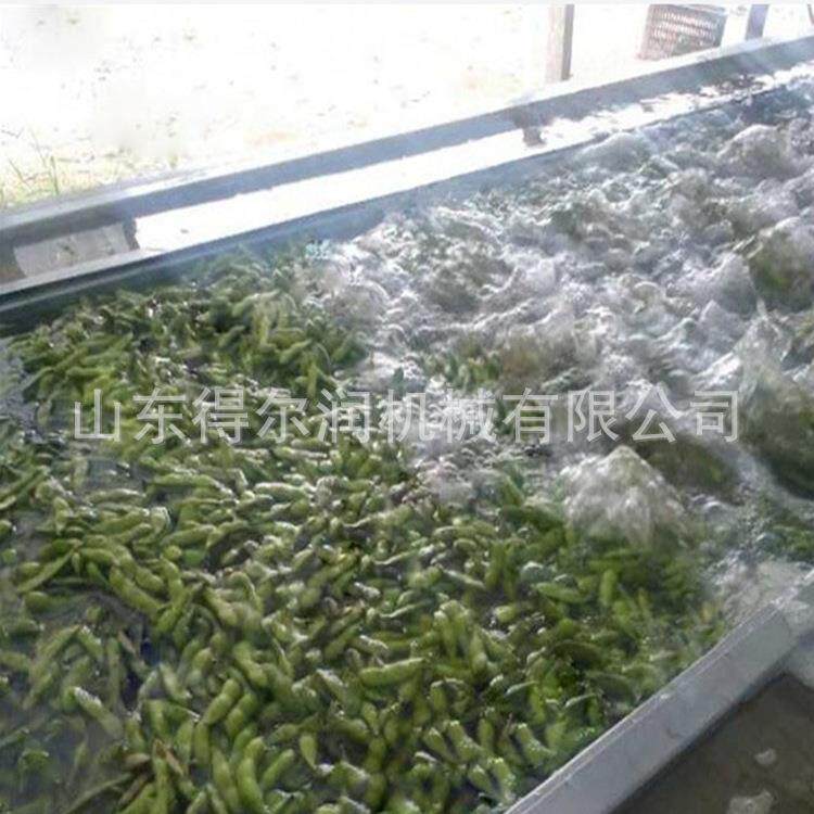 供应 气泡黄秋葵清洗机 智能DER500果蔬豆角漂烫设备 得尔润机械