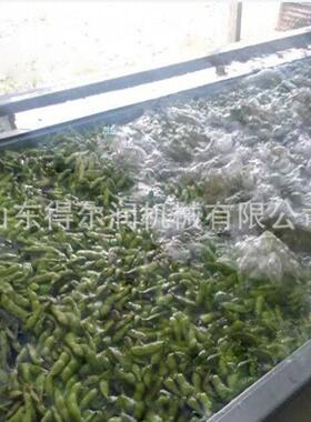 毛豆清洗漂烫流水线 果蔬护色杀青设备 速冻蔬菜漂烫处理生产线