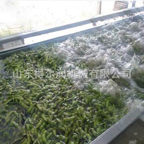 毛豆清洗漂烫流水线 果蔬护色杀青设备 速冻蔬菜漂烫处理生产线