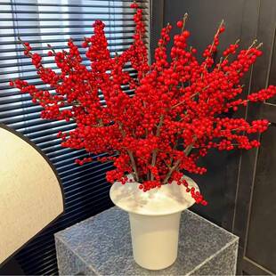 年宵花北美冬青鲜切枝盆栽蝴蝶兰跳舞兰大花惠兰五代同堂果鲜花