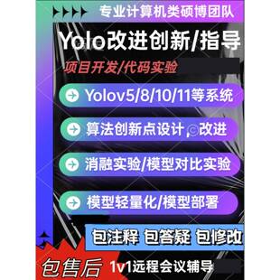 目标检测yolov5/8/10/11等算法改进网路优化创新点设计/专案开发