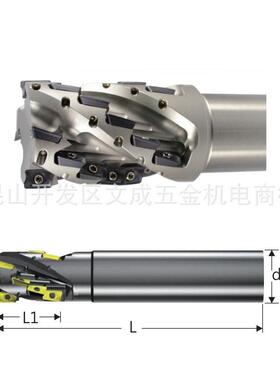 TAI JENG泰精 SAN11X玉米刀盘铣刀盘 SAN11X-3203-36H-32B-160