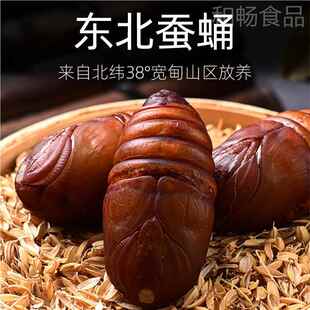 大蚕蛹500克黄东宽甸东北特产活柞蚕蛹新鲜蚕PBL蛹大茧丹蛹蝉蛹