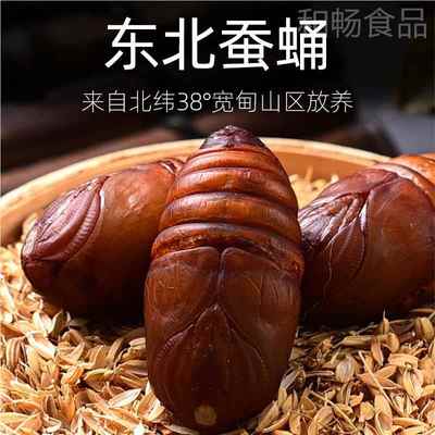 大蚕蛹500克黄东宽甸东北特产活柞蚕蛹新鲜蚕PBL蛹大茧丹蛹蝉蛹