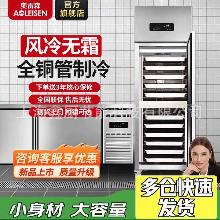 奥雷森二门商用冰箱风冷无霜冰柜大容量厨房酒店全冷冻插盘冷柜
