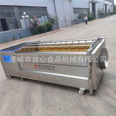 拉缸盐海参洗机 红淋薯芋头毛清刷辊清机洗 毛辊喷清洗机