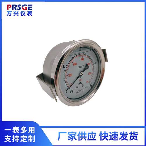 厂家供应进口注塑机专用压力表 YN100B/ZU 带U型支架表 轴向抗