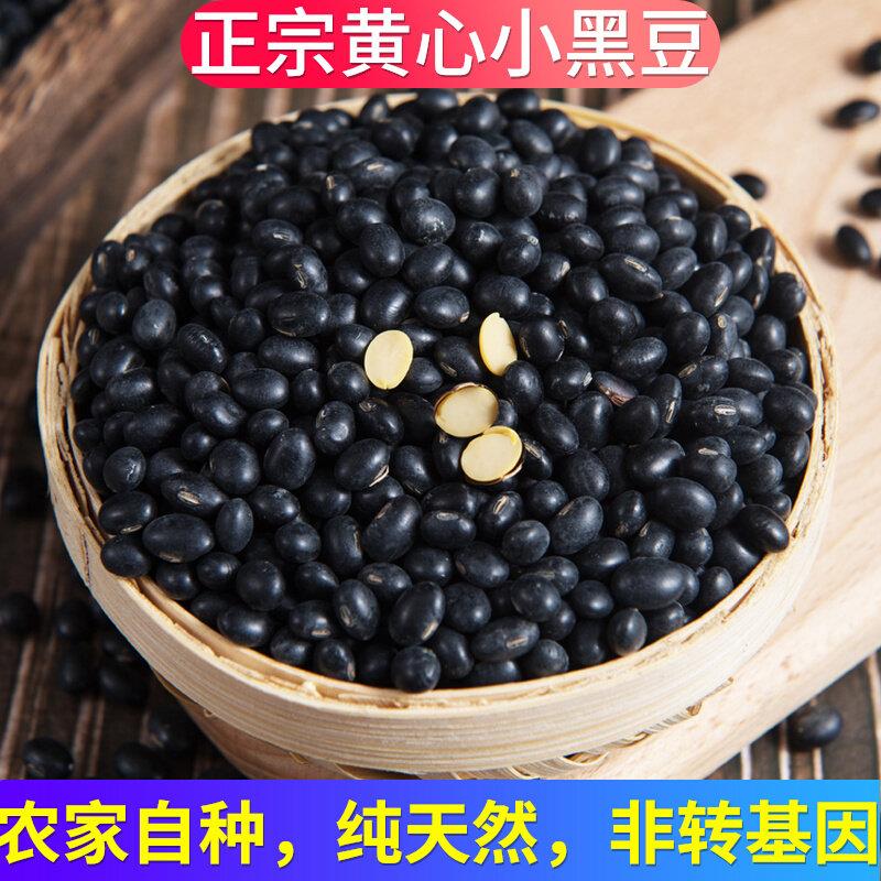 广东黄心小黑豆农家自产天然黑豆非转基因五谷杂粮醋泡打豆浆500g