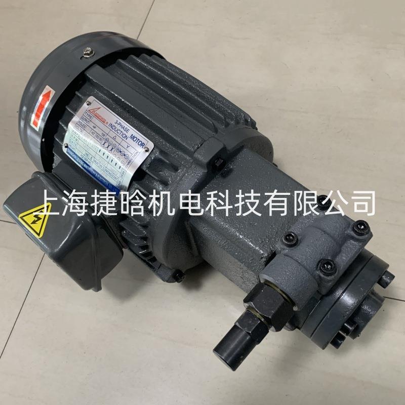 锐力rexpower油泵电机组 RBB-2216Y 1HP-4P RBB-203Y摆线齿轮泵