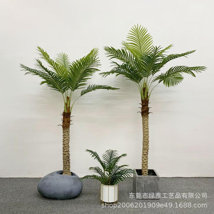仿真绿植盆栽仿真针葵树塑胶杆葵树椰子树仿真细叶葵树造景假绿植