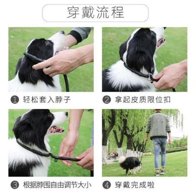 绳子牵引遛狗训犬反光狗牵引绳