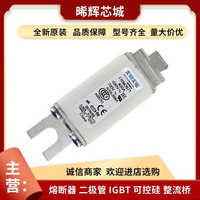 直供170M2684 170M2685 低压快速熔断器型号齐全 标准封装现货