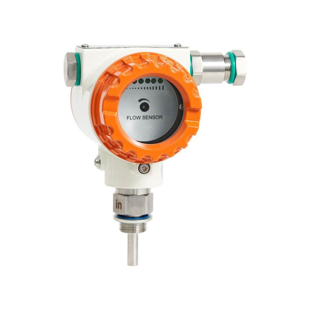 防爆热导式流量开关水泵油气管道防爆电子插入流量开关厂家