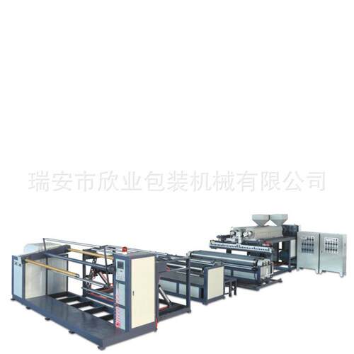 厂家供应XYPE-2LB1200两层气泡膜机双螺杆挤出速度快产量高
