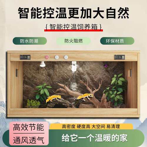 蛙眼守宫专用蜥蜴饲养箱智能温控家用带造景恒温箱睫角守宫爬宠箱