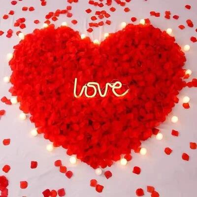 Lots Artificial Fake Rose Petals Red Roses Petal Flower Simu