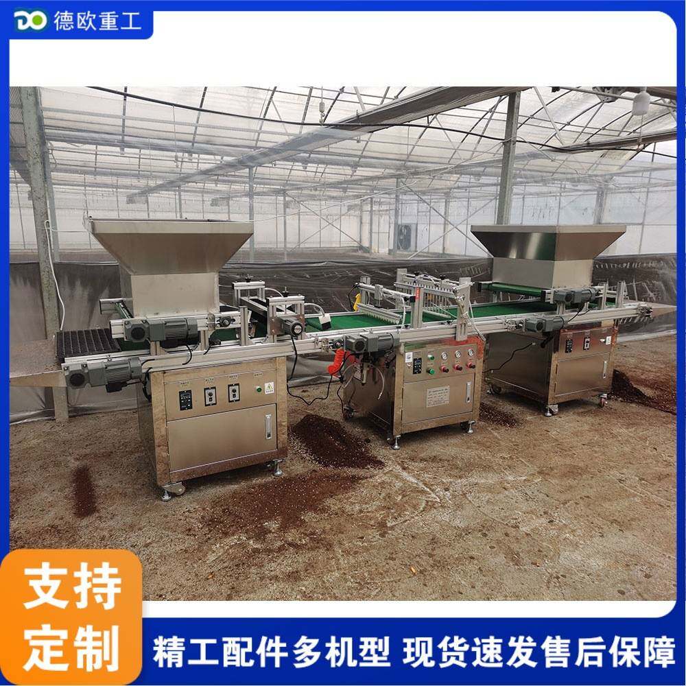 蔬菜育苗机 穴盘播种机 变频调速点播机 全自动种植一体机设备