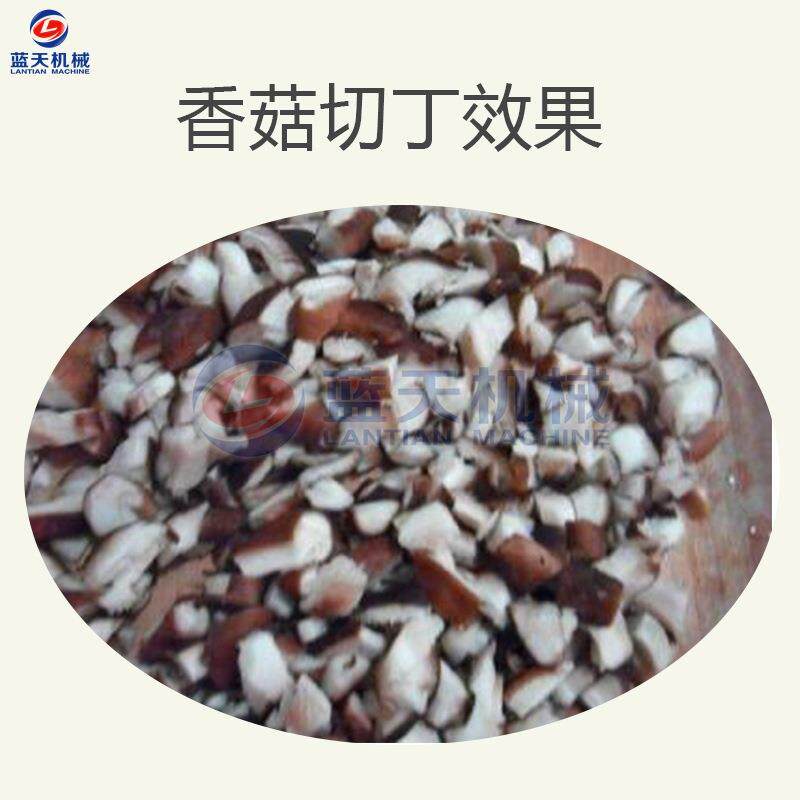 不锈钢香菇切丁机 蘑菇专业切丁器 商用食堂菌类切碎设备厂家直销