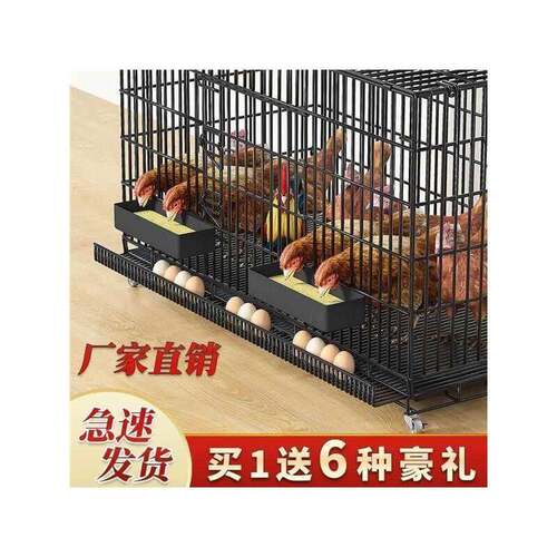 鸡下蛋的笼子家禽养殖笼鸡舍棚家庭养鸡笼鸡窝特大号下蛋自动滚蛋