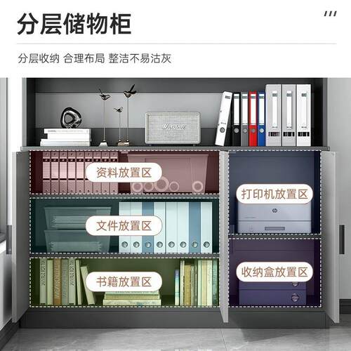 文件柜公柜资料柜置物柜储物柜子办柜公室书收LAK办纳柜落地档案