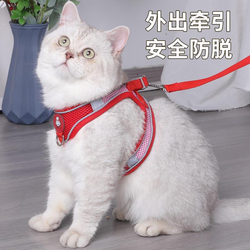 狗狗透气背心绳透气背遛狗胸式胸反光猫猫猫胸网眼背带宠物胸背背