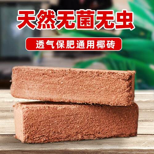 兰花土阳台种菜种植营养栽培基质