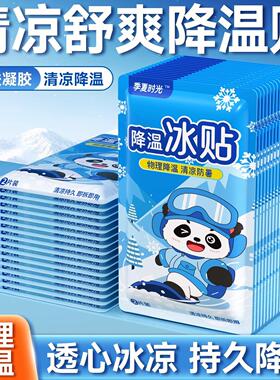 Cooling Ice Packs, Refreshing Cooling Stickers for Summer, I