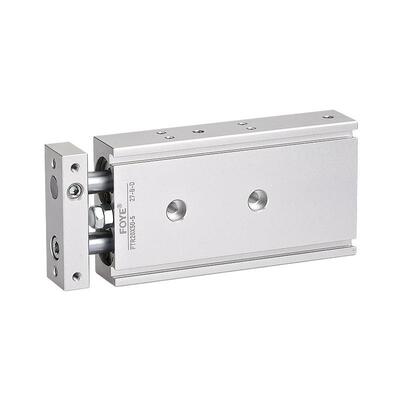 /TR双轴气双杆*10/15/2025/30/35/49040/45缸/50/75//100125/150