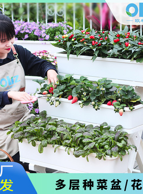 源头批发欧林阳台庭院种菜花瓶