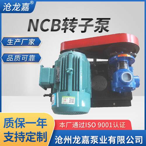 龙嘉电动高粘度转子泵NCB转子泵蜂蜜糖浆泵白乳胶泵树脂泵涂料泵