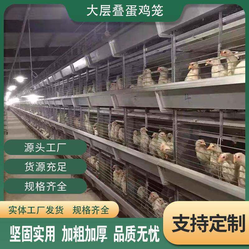大层叠蛋鸡笼饲养自动化镀锌网养殖笼舍配件式机械