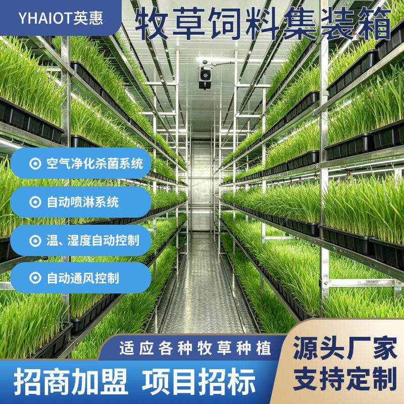 集装箱式牧草种植舱 全自动水培牧草设备 牛羊养殖专用