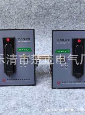 衢州申源户内高压电磁锁DSN-CM/Z高压柜电门锁电控锁DSN-CM/Y