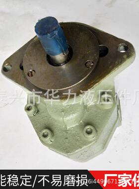 单级齿轮泵压边立式221不B堵塞泵高增油压铸铁C-FC25-FL油泵自吸