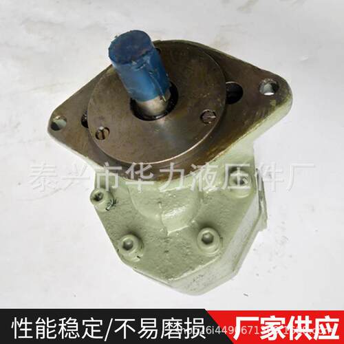 单级齿轮泵压边立式221不B堵塞泵高增油压铸铁C-FC25-FL油泵自吸