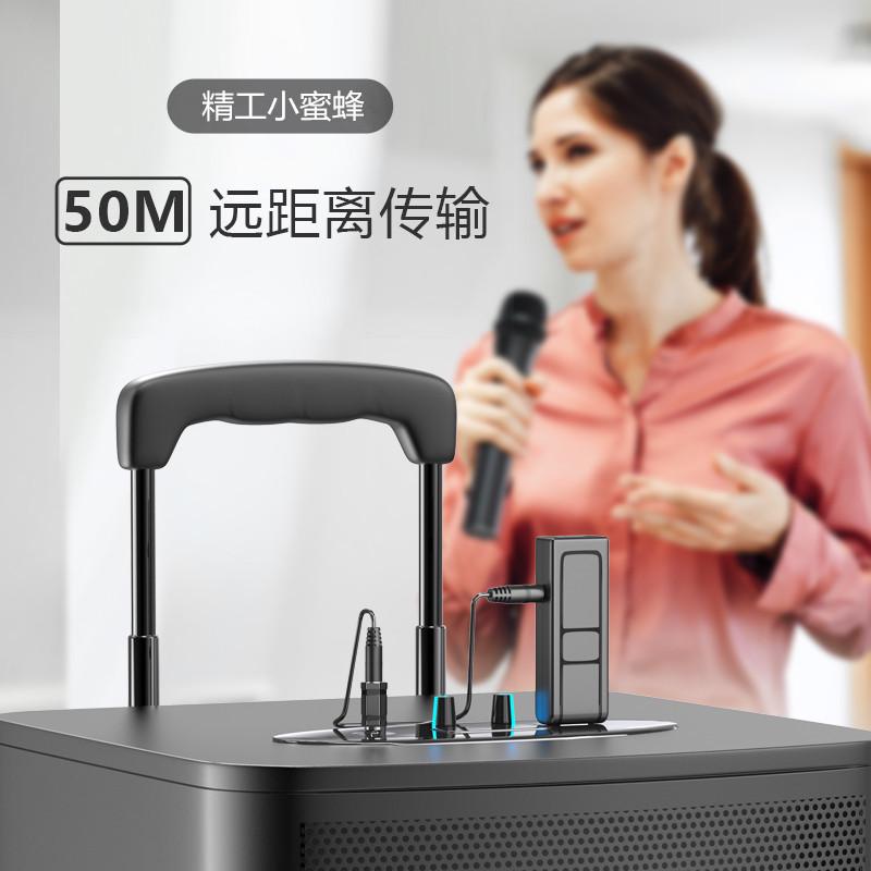 无线话筒一拖二 动圈式家用会议舞台音响拉杆功放电脑手持K歌通用