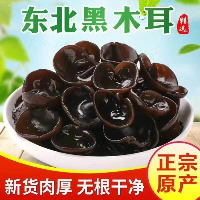 菌裕黑木耳小碗秋耳500g新干货无增重椴木凉拌云耳非特级野生东北