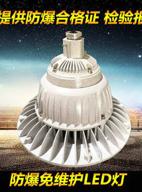 防爆灯/防爆LED灯/防爆射灯/防爆LED吊灯80W-100WBAD系列防爆LED